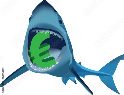 squalo mangia euro photo