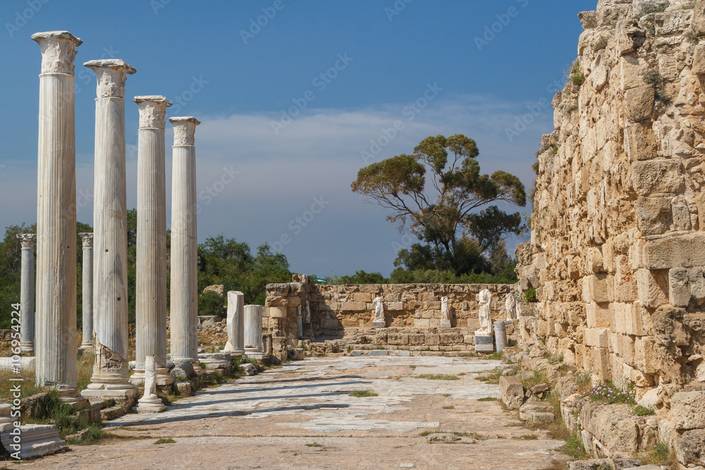 Obraz premium Ruins of the ancient Roman city of Salamis, North Cyprus