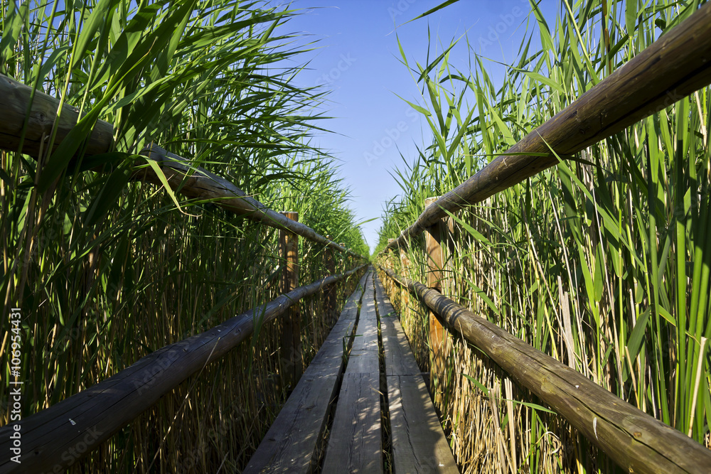 wooden road deep in the grass wooden road deep in the grass