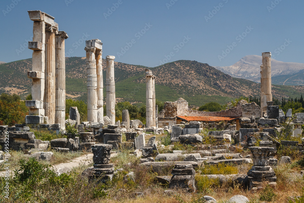 Fototapeta premium Ruins of the ancient city of Aphrodisias, Turkey
