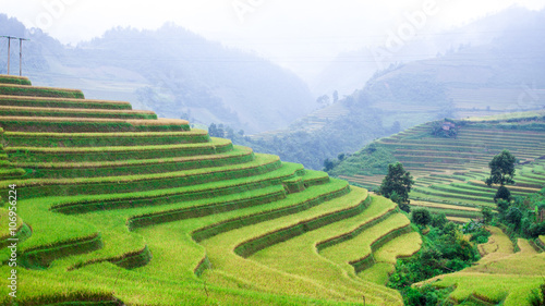 The rice terrace fields in Mu Cang Chai   Viet Nam