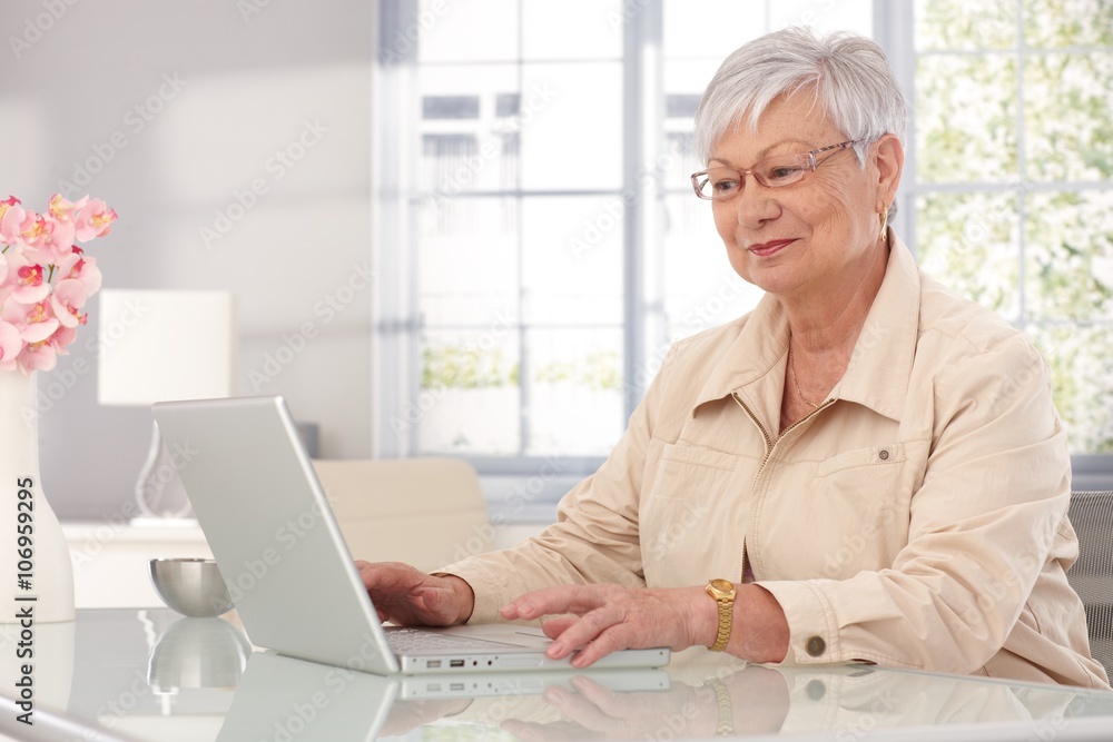 Grandmother using laptop at home Grandmother using laptop at home