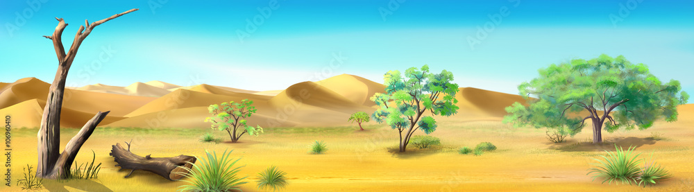 Fototapeta premium African Savannah. Image Two