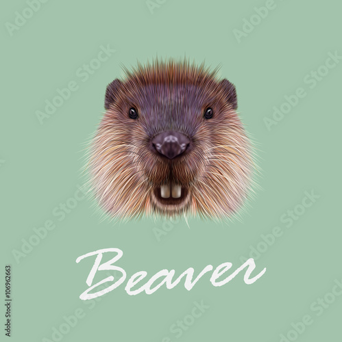 Vector Illustrated Portrait of Beaver.