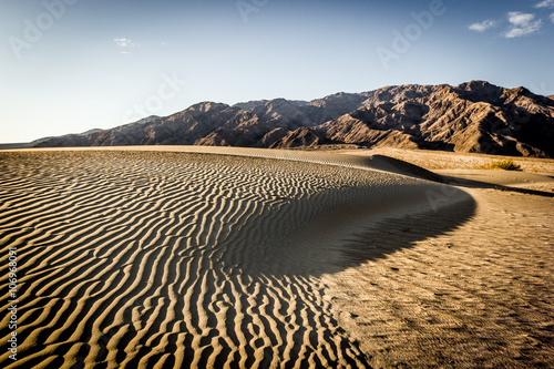 Death Valley National Park  Mesquite Flat Sand Dunes at sunrise  California  USA