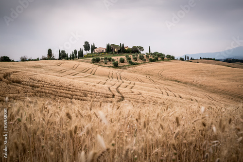 Tuscany, country in spring © ronnybas