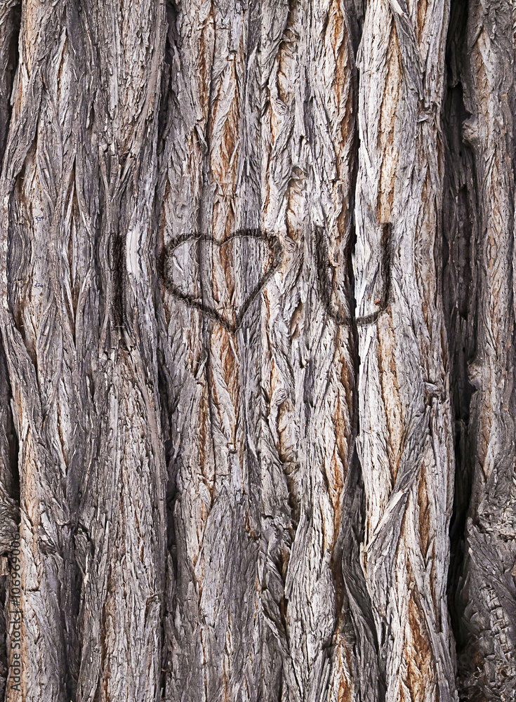 Gnarled trunk, HD seamless texture with I love you engraved Gnarled trunk, HD seamless texture with I love you engraved