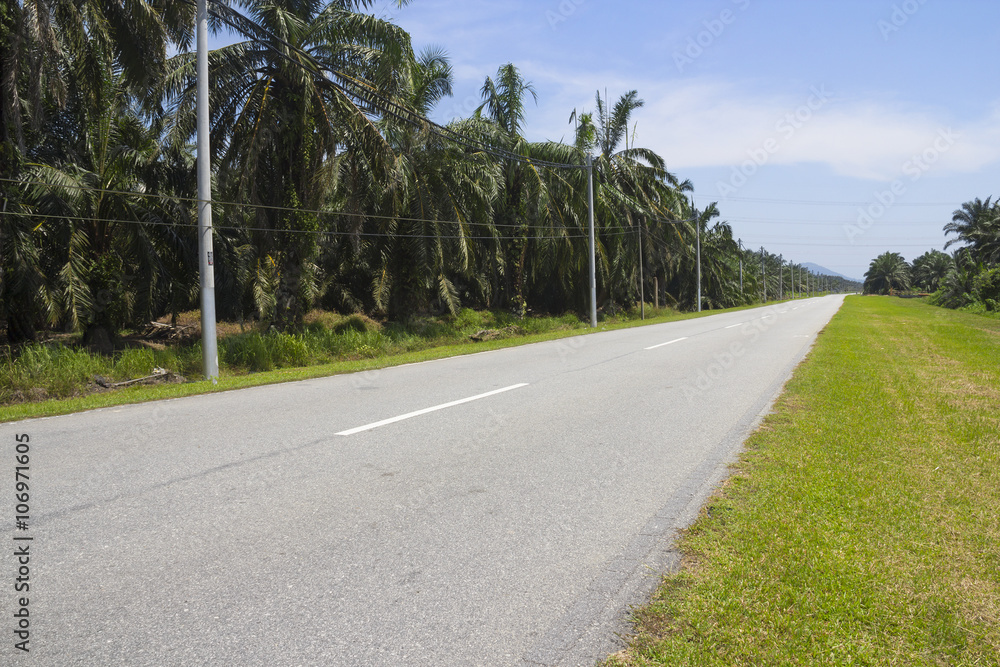 Rural road highway for speed drive journey, empty freedom countryside speedway route for motion trip Rural road highway for speed drive journey, empty freedom countryside speedway route for motion trip