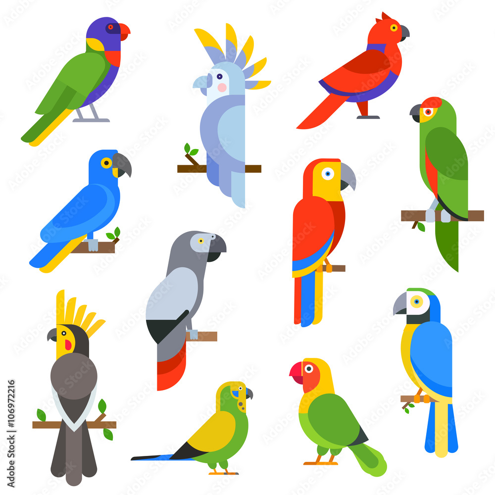 Obraz premium Cartoon parrots set and parrots wild animal birds vector illustration