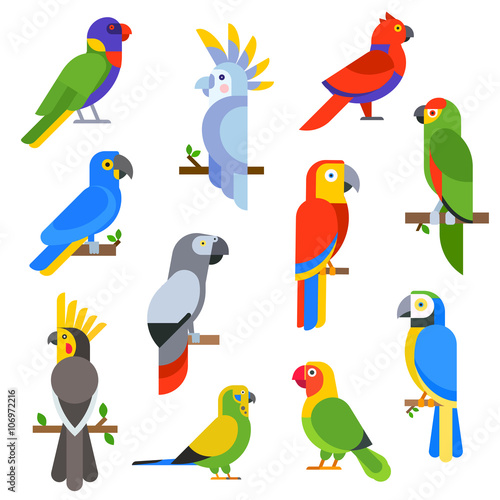 Cartoon parrots set and parrots wild animal birds vector illustration