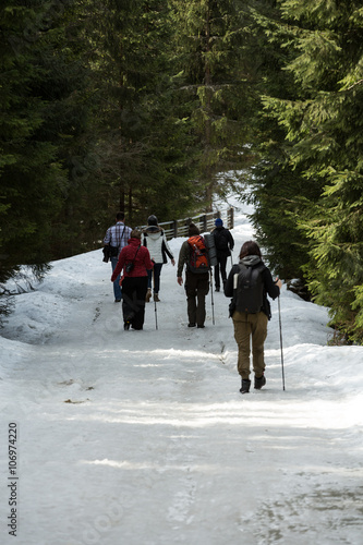  Tourists walking on hiking path in Chocholowska valley in spring season, Tatra Mountains, Poland