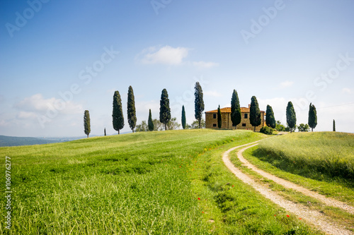 Tuscany  landscape