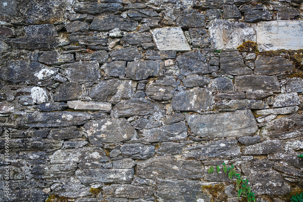 Obraz premium Old textured wall background 