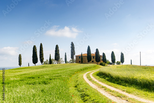 Tuscany  landscape