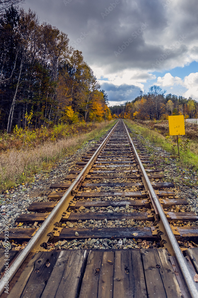Obraz premium Railway Tracks in Remote Landscape Wilderness