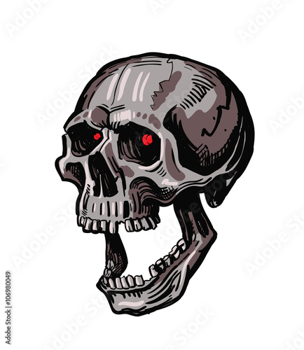vector black skull 