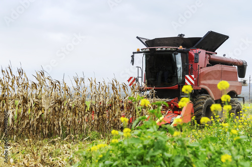 Mähdrescher in rot bei der Ernte von Mais photo