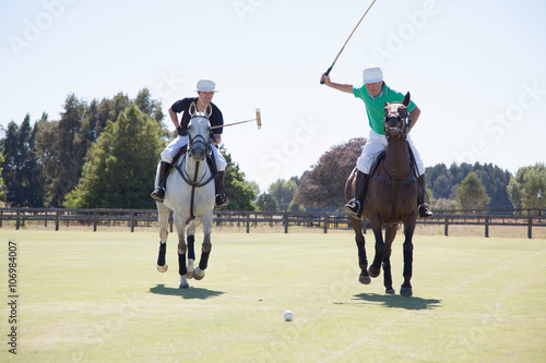 Two adult men playing polo photo
