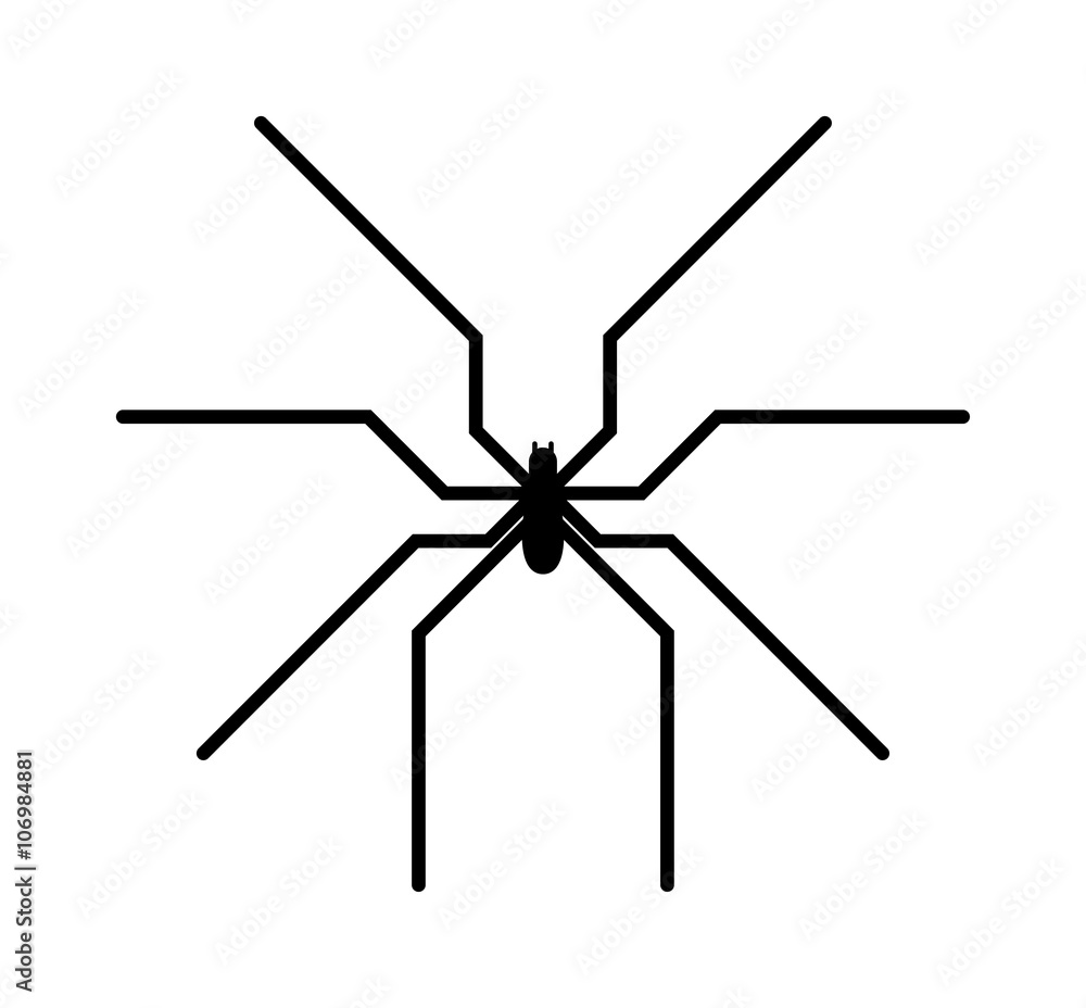 Black spider insect danger silhouette vector icon. Black spider insect danger silhouette vector icon.