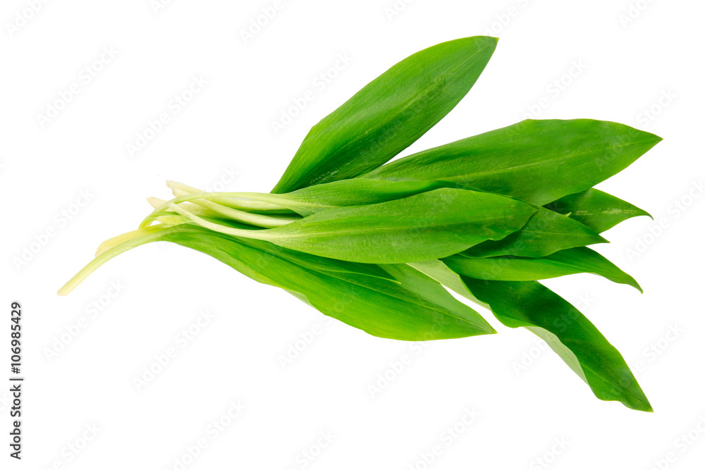 Ramsons (Wild Garlic) isolated on a white background. Food series. Ramsons (Wild Garlic) isolated on a white background. Food series.