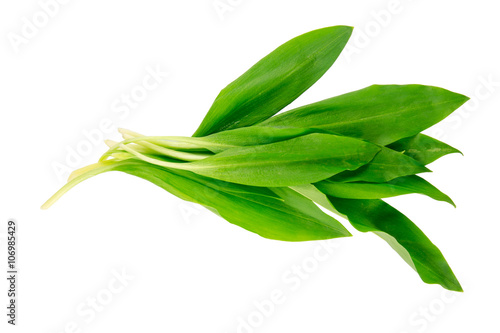 Wallpaper Mural Ramsons (Wild Garlic) isolated on a white background. Food series. Torontodigital.ca