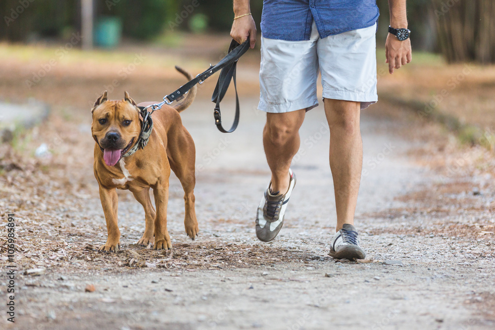 Man walking with his dog at park