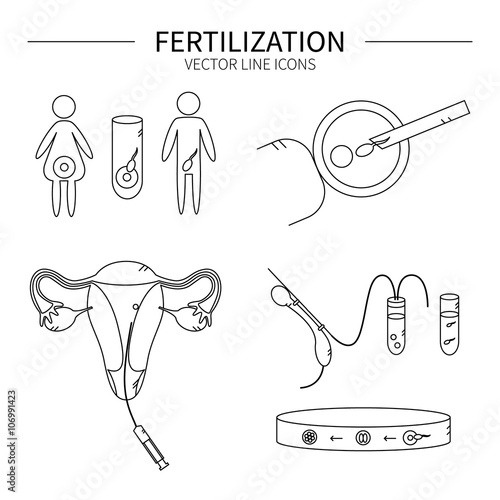 Fertilization line icons