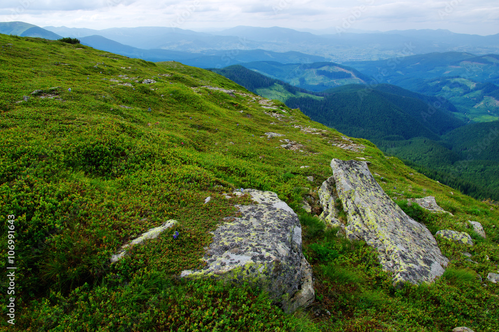 Mountain landscape in summer Mountain landscape in summer