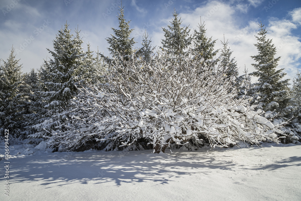 Early Winter Season Landscape Scene on Sunny Day after Fresh Sno Early Winter Season Landscape Scene on Sunny Day after Fresh Sno