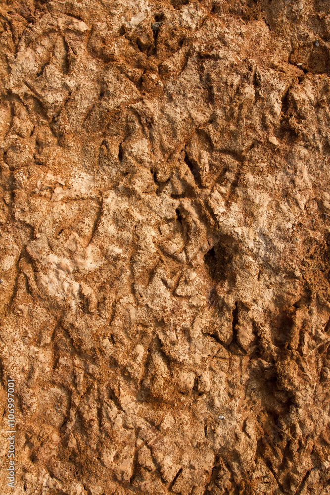 Soil erosion. Cracks. Soil erosion. Cracks.