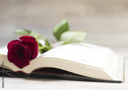 Canvas Print dia de sant jordi