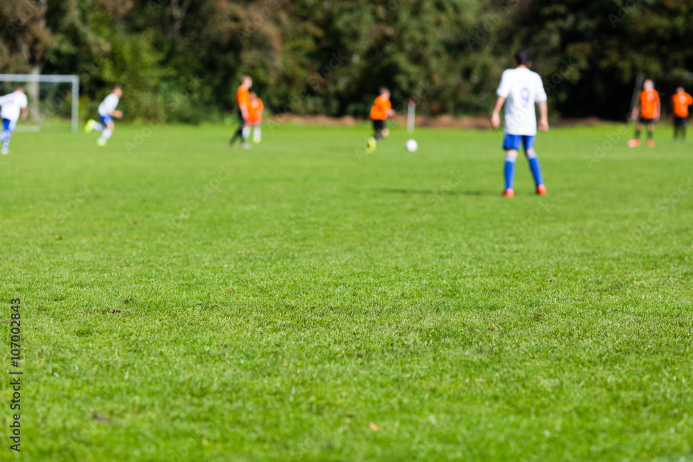 Blurred soccer players on green pitch Blurred soccer players on green pitch