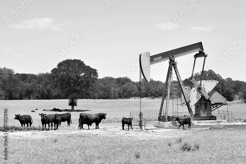 Canvas Print Texas oil well pumper.