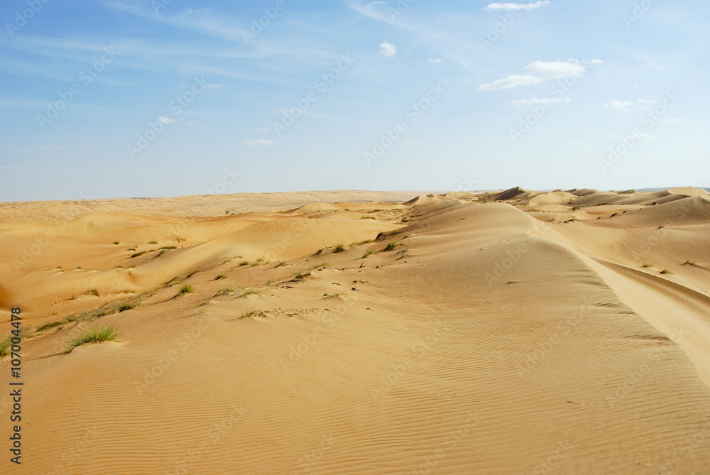 Landscape of Empty Quarter, Rub al Khali Desert, Oman Landscape of Empty Quarter, Rub al Khali Desert, Oman