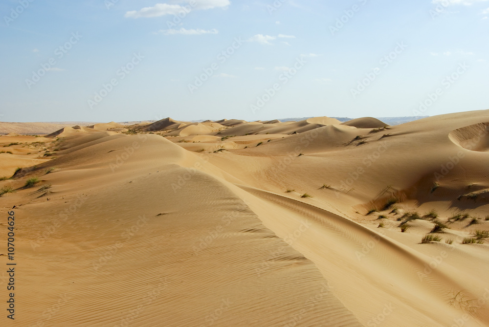 Landscape of Empty Quarter, Rub al Khali Desert, Oman Landscape of Empty Quarter, Rub al Khali Desert, Oman