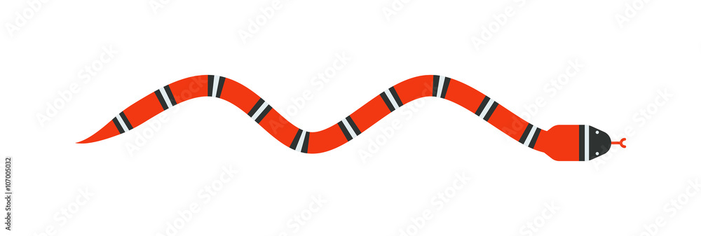 Fototapeta premium Vector flat snake isolated on white background