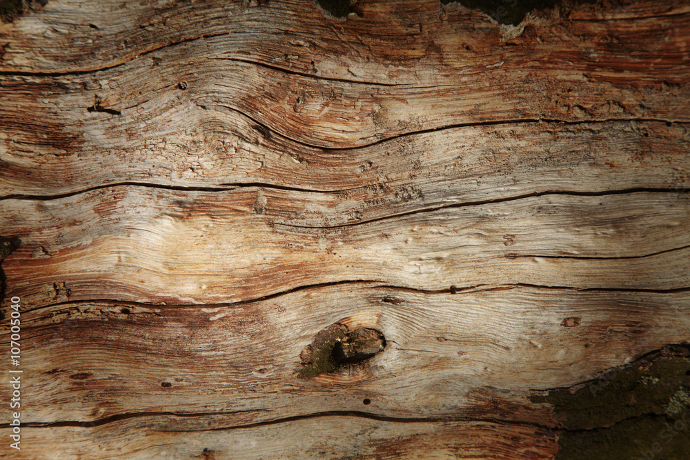 Old rich wood grain texture background with knots Old rich wood grain texture background with knots