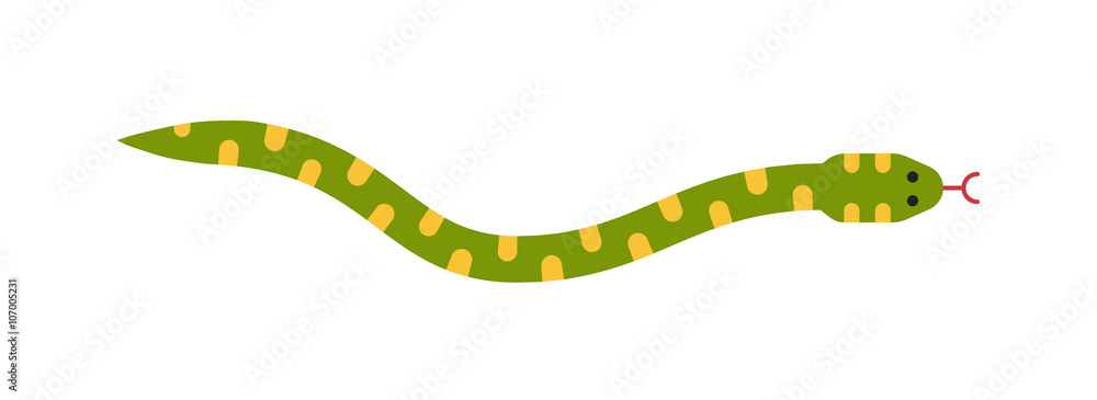 Fototapeta premium Vector flat snake isolated on white background