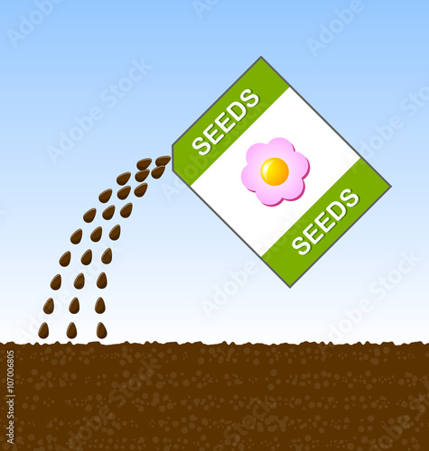 Sowing seeds of flowers into the soil in the springtime.