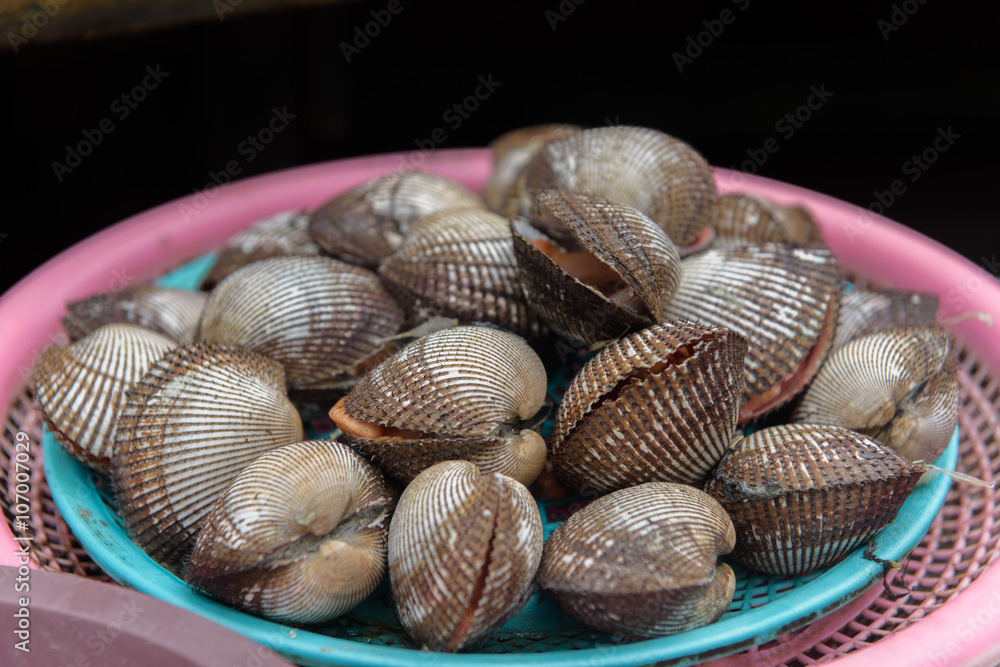 Mussels at Busan fish market