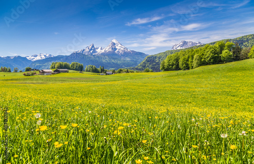 Idyllic landscape in the Alps with blooming meadows and mountain tops