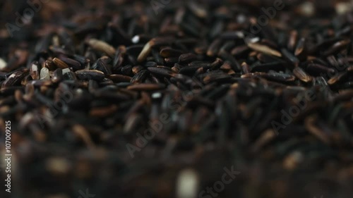 Background of black organic cereal salt sunflower seeds. photo