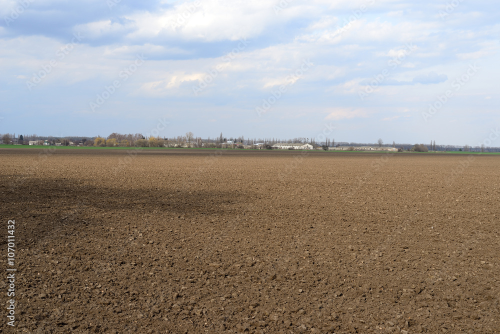 Sown field