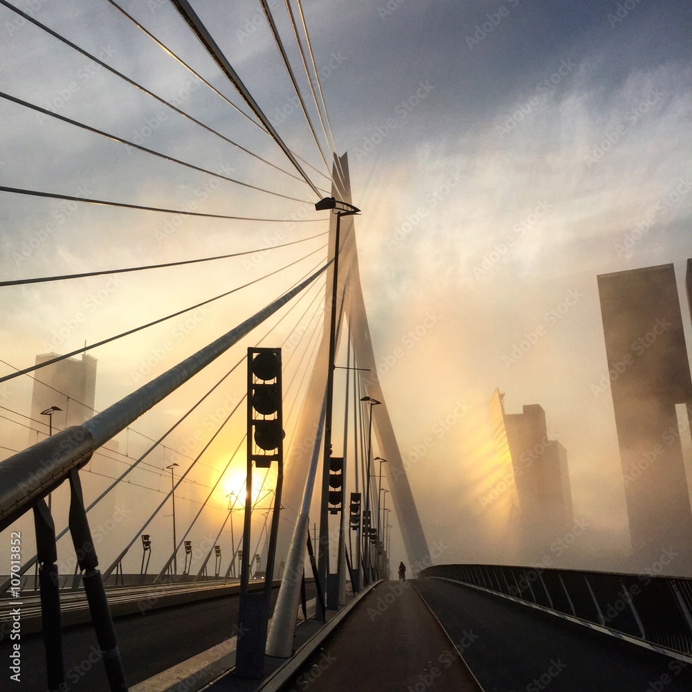 Obraz premium erasmusbridge during sunset