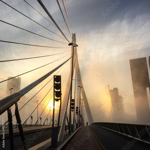 erasmusbridge during sunset