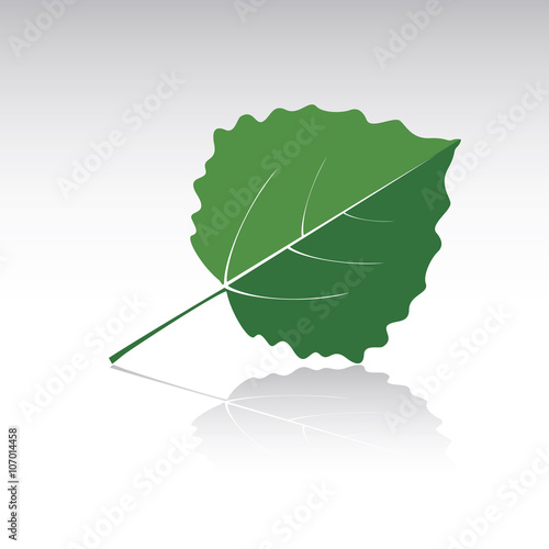 Green leaf of Aspen. Vector illustration and icon.