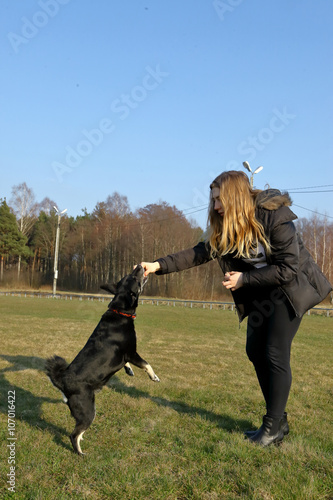 Fototapeta Naklejka Na Ścianę i Meble -    Pies