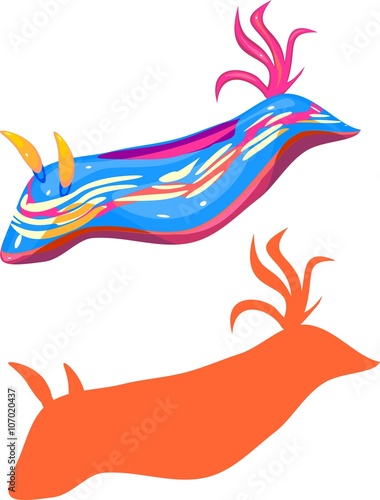 Nudibranch 