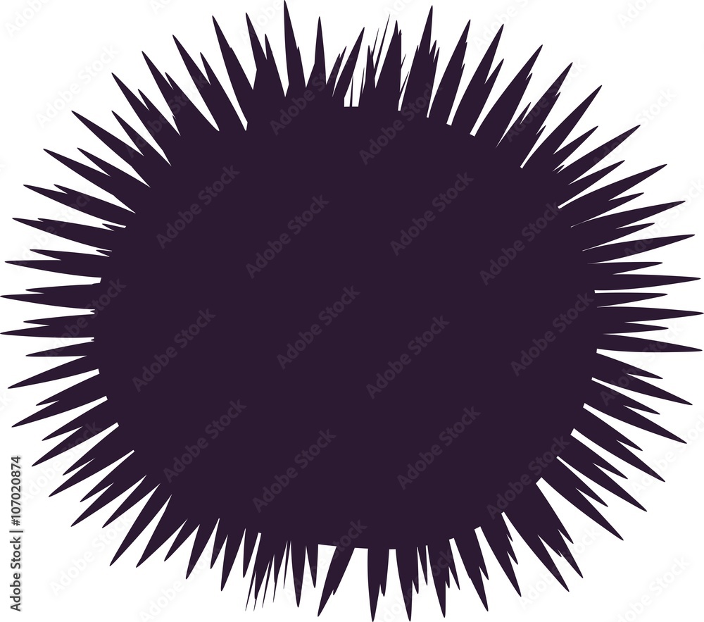 Fototapeta premium silhouette of sea urchin