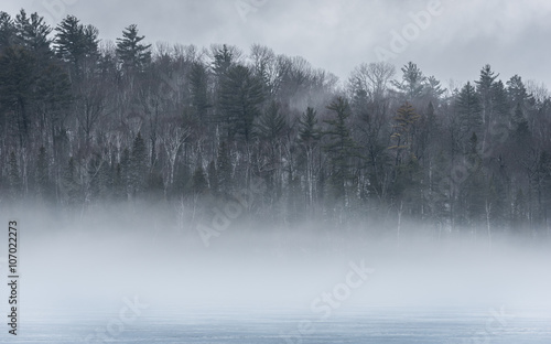 Warm air, cold layers, pale waterfront deciduous Eastern Ontario forest on an early gray day of melting Ice & spring corn snow on thawing Ontario lake. © valleyboi63